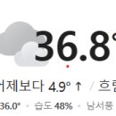 궁전유치원 이미지