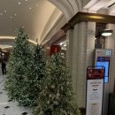 아웃백목살하우스 | [고속터미널 맛집] 강남신세계 샤브샤브 무한리필 모던샤브하우스 센트럴시티점 후기 :)