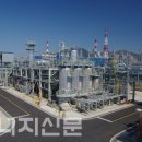 피앤피글로벌 이미지