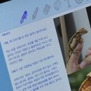 반모리