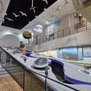 갯지렁이 전시관 이미지