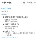 꼬숑돈카츠 이미지