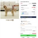 시리어스펫 슬개골 따땃망토 프로ver 강아지 슬개골 탈구 디스크 예방 관리 근적외선 조사기 (내돈내산...