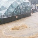 강남시장(개방) 이미지