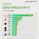 스토리짐(521)(스크린) 이미지