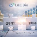(주)셀루메드 | 한숨 돌린 엘앤씨바이오, 리투오 판매 동향은?