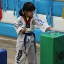 용인대KAT태권도 이미지