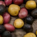 감자와 스무디 이미지