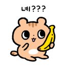 카페인중독전주 이미지