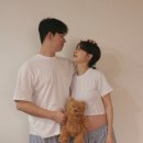 (주)빅베어 | 젤리캣 한국 공홈주문 바톨로뮤 베어 라지 후기