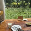 미드픽(mid pick) 이미지