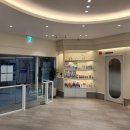 위례 바른 동물의료센터 이미지