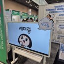 주식회사하이코리아