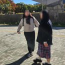나고야 3박 4일 :: 노리타케의숲, 사카에, 시라카와고, 다카야마, 오스상점가, 미와신사, 시라카와공원