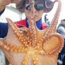 오늘도 여수 이미지