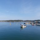 백사장항(대하) 이미지