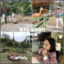 상교농장 | 여주 이천 가볼만한곳 아이랑 동물체험 산속애 경기도 숲놀이터