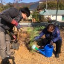 요산마을 이미지