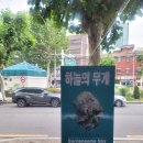 일미리금계찜닭낙성대역점 이미지