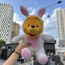 대박뽑기짱 이미지