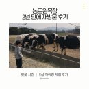 원양로 | 농도원목장 2년 만에 재방문 후기｜벚꽃 시즌 + 5살 아이랑 체험 후기