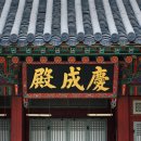 우죽 이미지