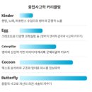 일루비즈