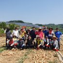 조마면사무소 이미지