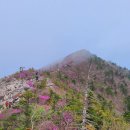 세평삼거리 이미지