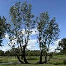 영클럽 | [생태관광 영리더스 클럽 12기] 발대식 후기 및 팸투어 후기