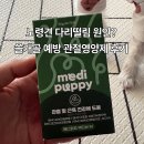 휴먼메디 | 노령견 다리떨림 원인과 쓸개골 예방, 메디퍼피 관절영양제 급여후기