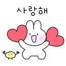 미다모은 이미지