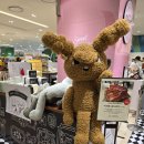 라화쿵부 서면중앙점 | 부산 서면 롯데백화점 팝업'프랑스 루브르 바게트 빵지순례 (두쫀쿠/바게트)