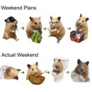 (주)에이치알 | 스시 다이이치 런치 후기