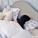 세종가구점 침대 고민 끝! 시몬스 슬립라운지 체험 후기