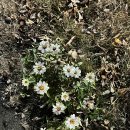 칠십리교 | [🇰🇷 제주 2일 / 일기] 2026.01.10