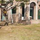 자라스파펜션 이미지