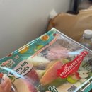 방콕에서 파타야 픽업샌딩 택시 스노쿨링 후기