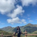 커피내리는그림쟁이 | 주간일기#울산 간월재 영남알프스 억새군락지 등산하기 + 울산 초대형카페 그릿비