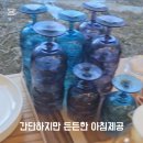 오블리&화이트펫 이미지