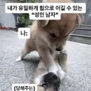 고향막창 네이버블로그