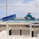 바이더씨 | 강릉 사천바닷가 카페 블리스에서 누리는 행복 '블리스 바이 더 씨'