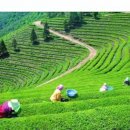 승마체험코스 이미지