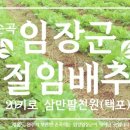 농부부이야기