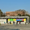 국제충전소 | 제27회 서귀포유채꽃국제걷기대회 참가 완보 후기