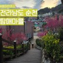 광양북초등학교 | 전남 순천 탐매마을 봄여행 추천 홍매화 명소 2024 탐매축제 기본정보 개화상황