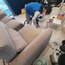 세정경로당 | 🛋️ 세종시 집현동 패브릭소파 청소 후기, “벌레 때문에 걱정됐던 소파, 이제 안심하고 앉을 수 있어요!”