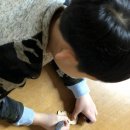 어룡초교 이미지