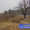외산초등학교-1 이미지