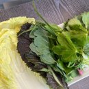 자연과 건강(산야초 이야기) | 세종샤브샤브 맛집 산들채 한방 산야초 샤브 부모님 모시고 다녀온 후기